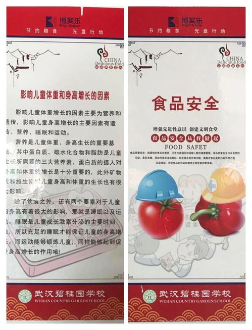 第二周營養(yǎng)食譜指南 打造均衡膳食，守護(hù)食品安全與營養(yǎng)